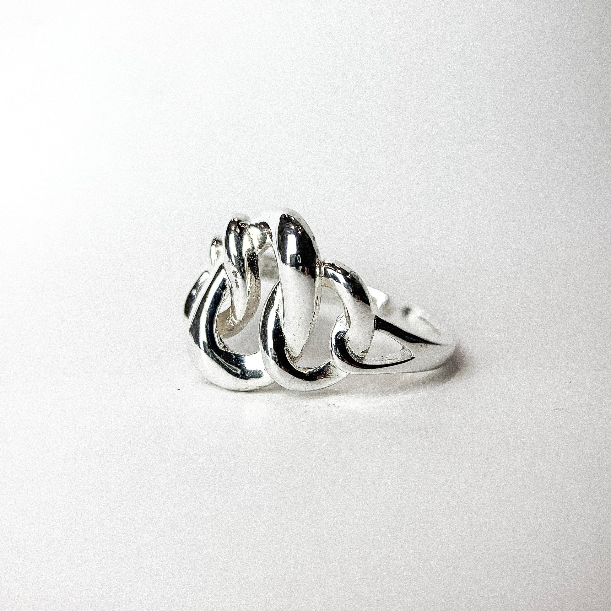 Silver Ring — detail view