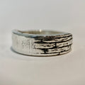 Silver Bastion Ring