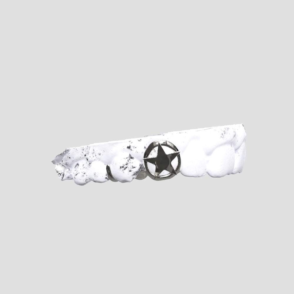 Star Canine Silver Grillz Grillz